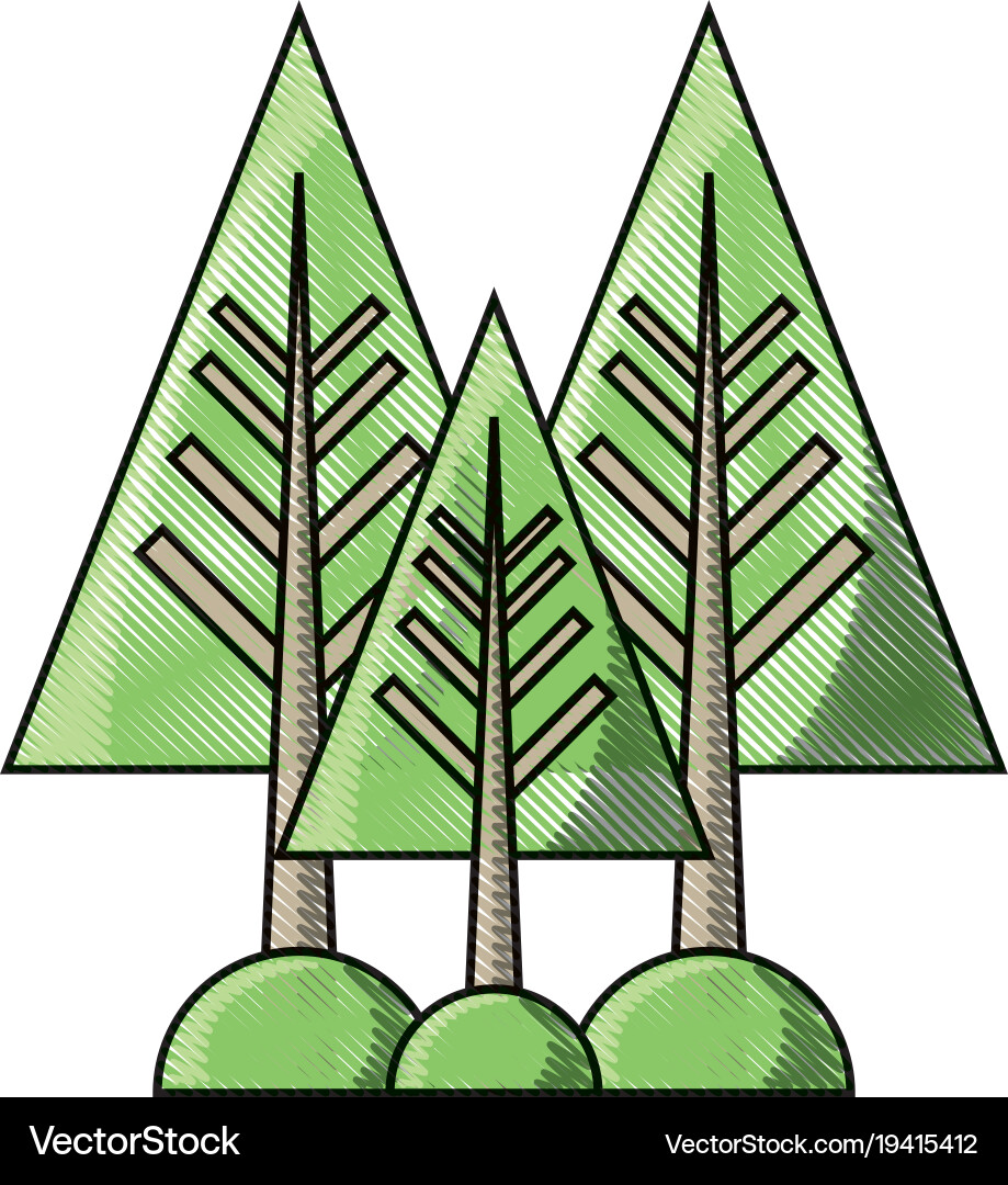 Pine trees icon Royalty Free Vector Image - VectorStock