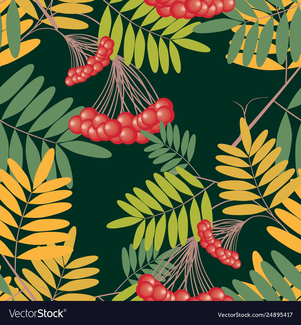 Seamless pattern rowan branches with berries