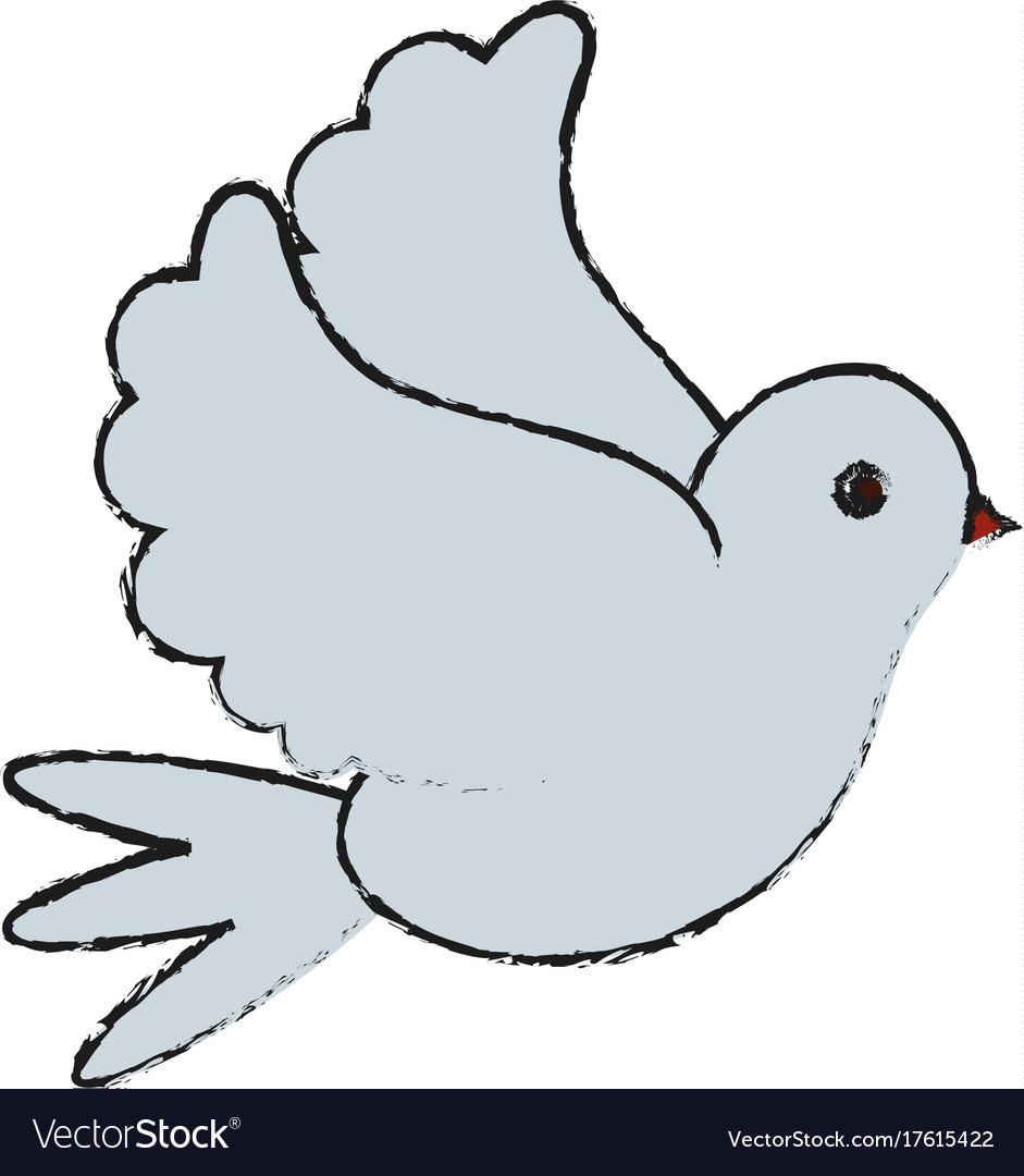 White bird of peace