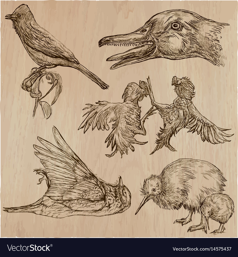 Birds animals around the world - an hand drawn Vector Image Birds animals around the world - an hand drawn Vector Image