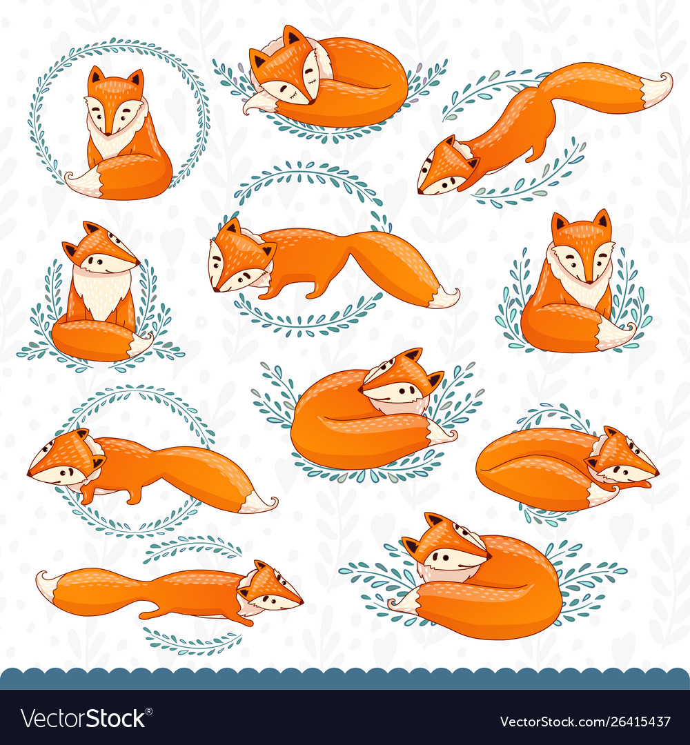Cute cartoon foxes vector image Cute cartoon foxes