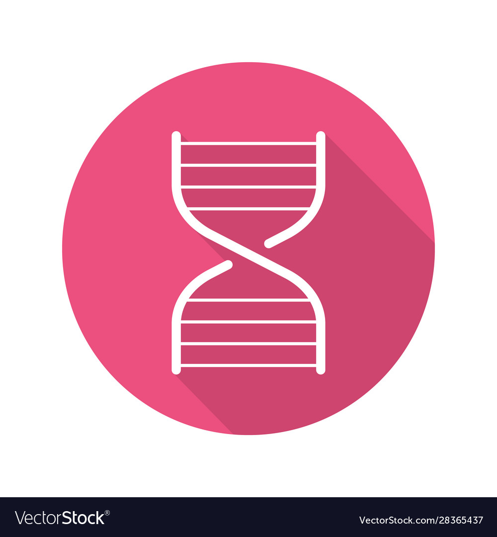 Dna chain model flat linear long shadow icon Vector Image