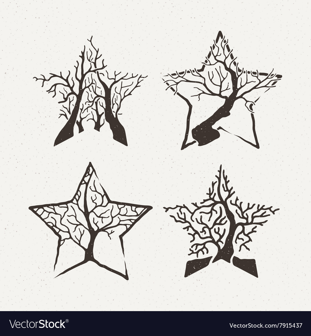 Star trees set pattern