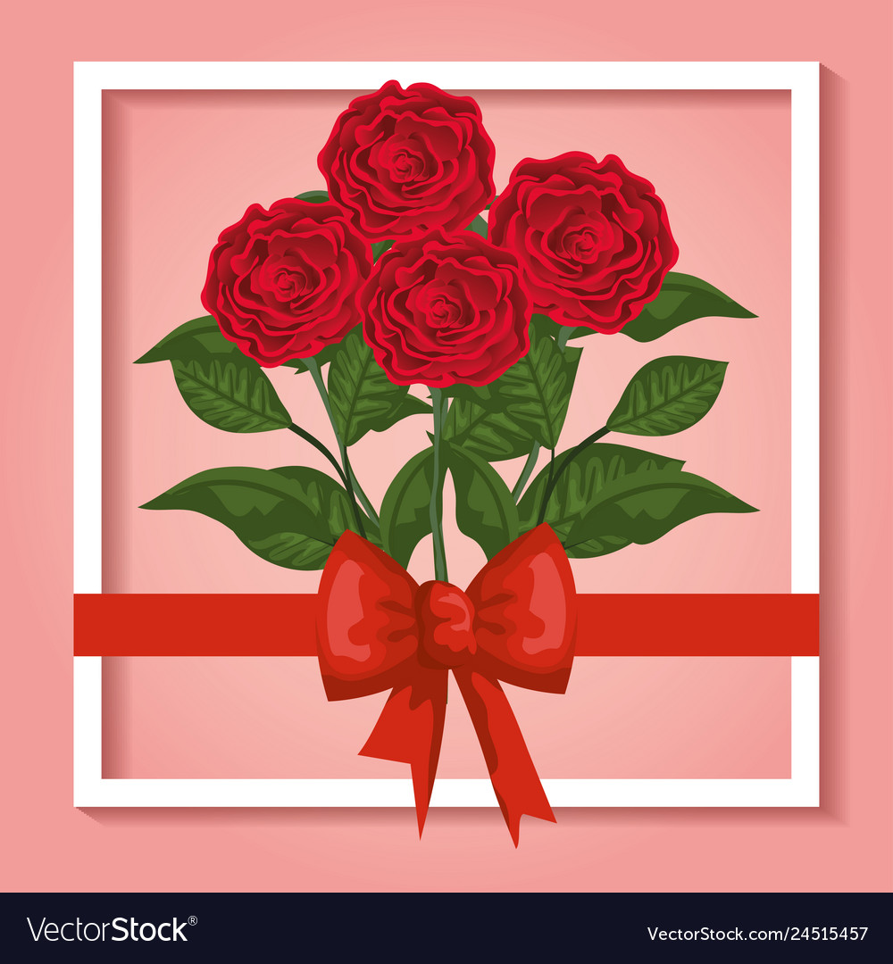 Beauty roses plants with leaves and ribbon bow