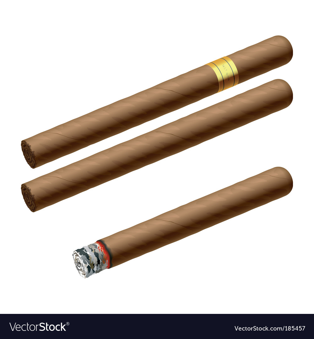 cigar vector