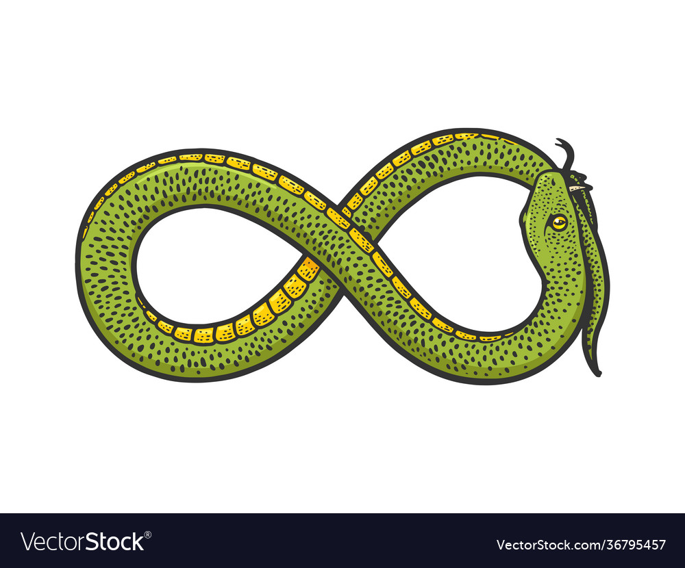 Snake infinity sign sketch Royalty Free Vector Image