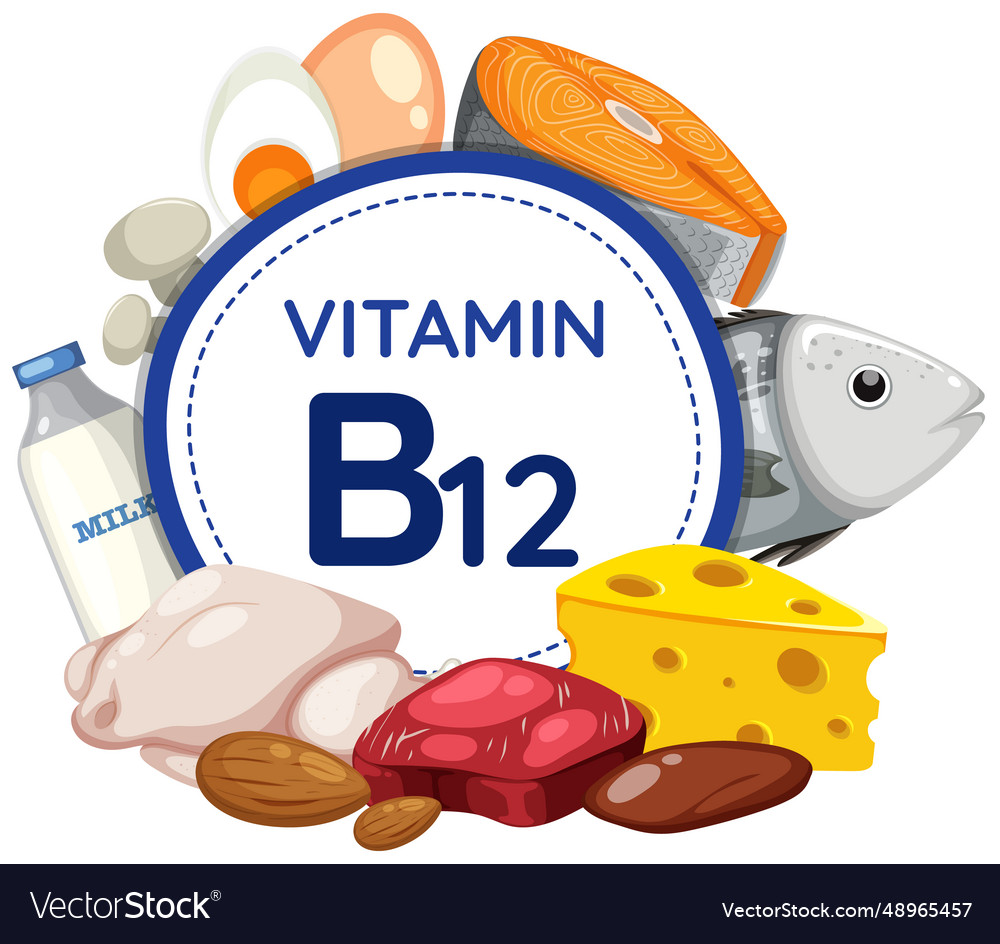 Vitamin b12 icon banner with food and fruit Vector Image