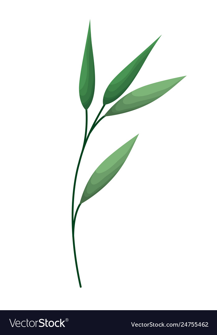 Branch with leafs isolated icon