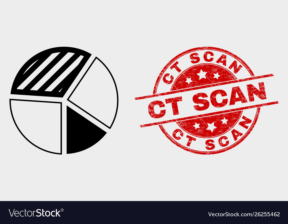 Pie chart icon and scratched ct scan stamp vector image Pie chart icon and scratched ct scan stamp