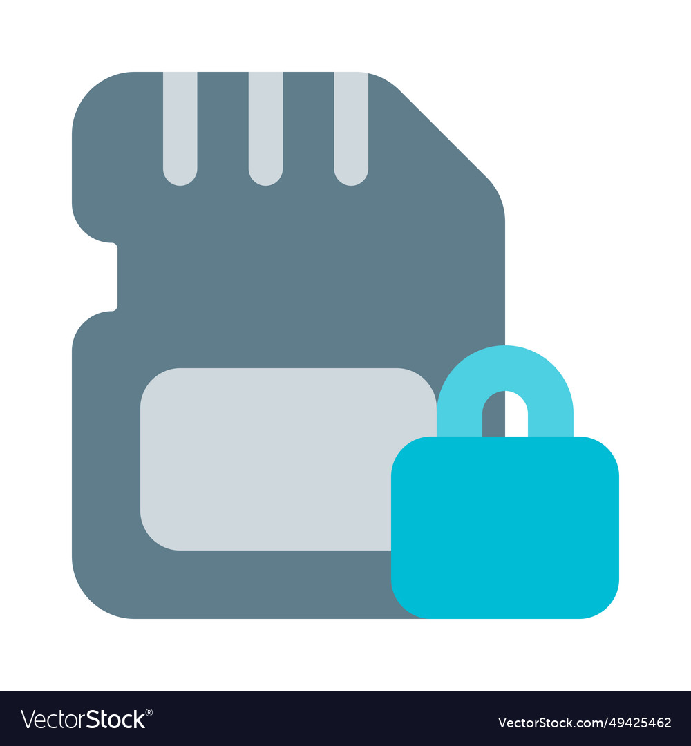 Sd card lock for data security