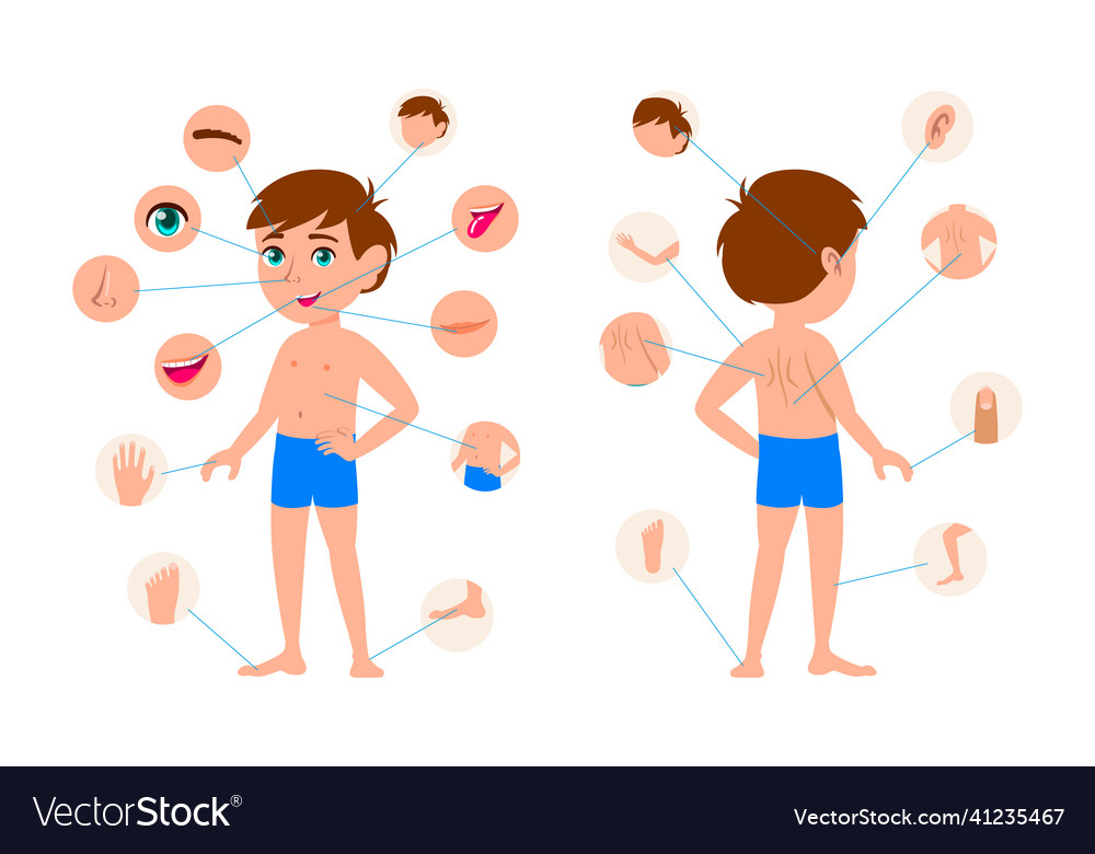 Body parts of little cartoon boy set Royalty Free Vector