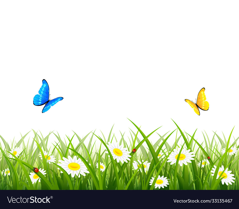 Butterflies flying over grass and flowers Vector Image