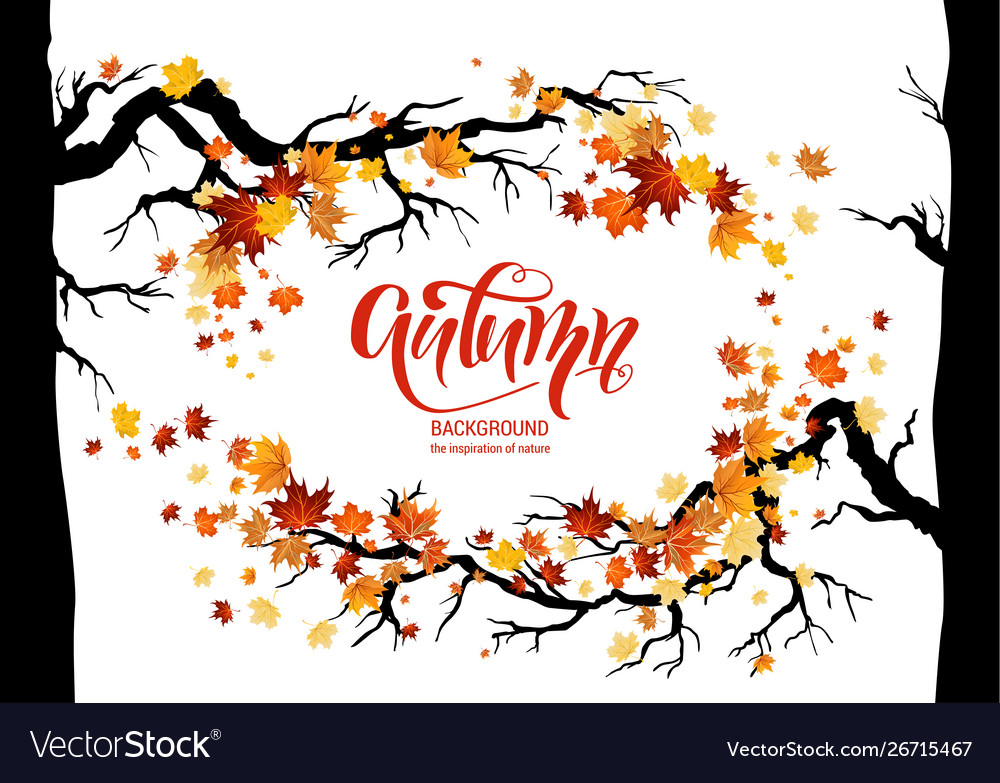 Leaves and branches frame vector image Leaves and branches frame