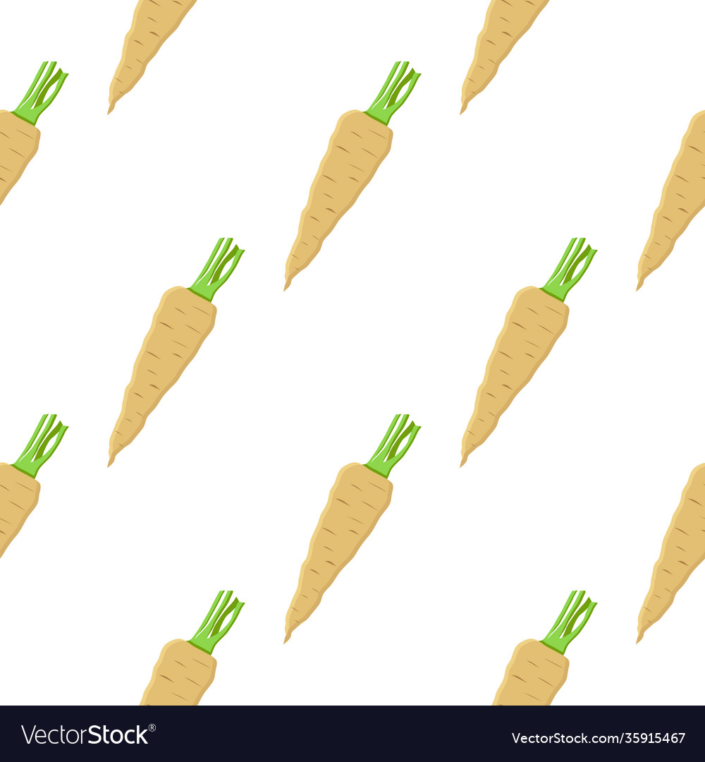 On theme pattern plant parsnip vector image On theme pattern plant parsnip