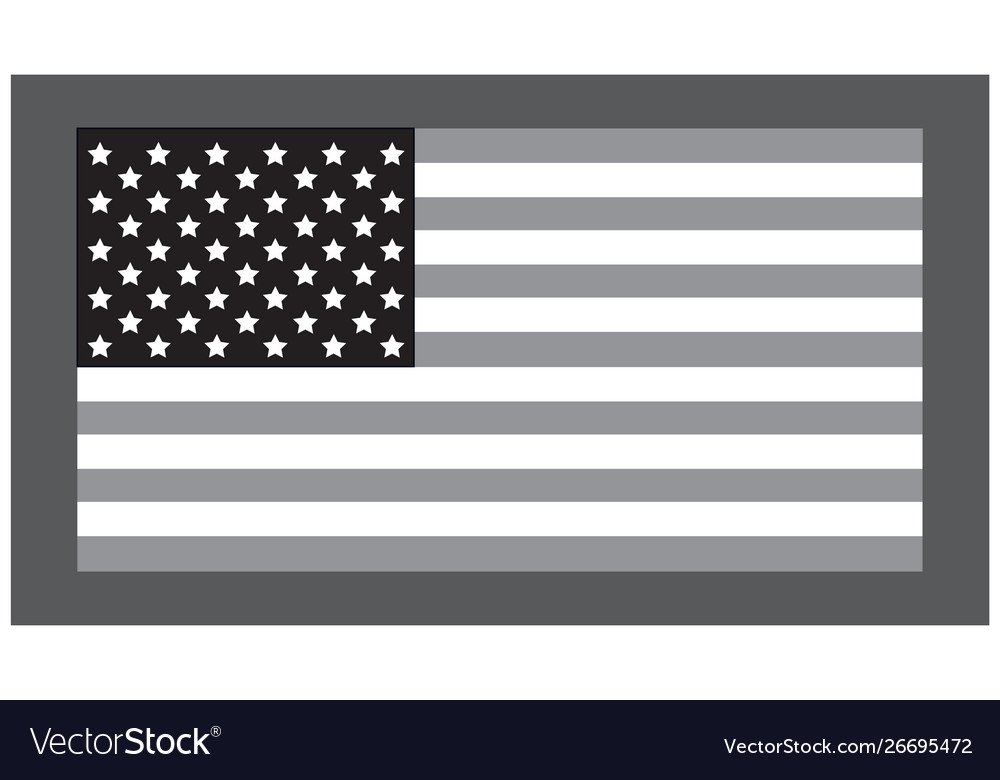 Grayscale American Flag