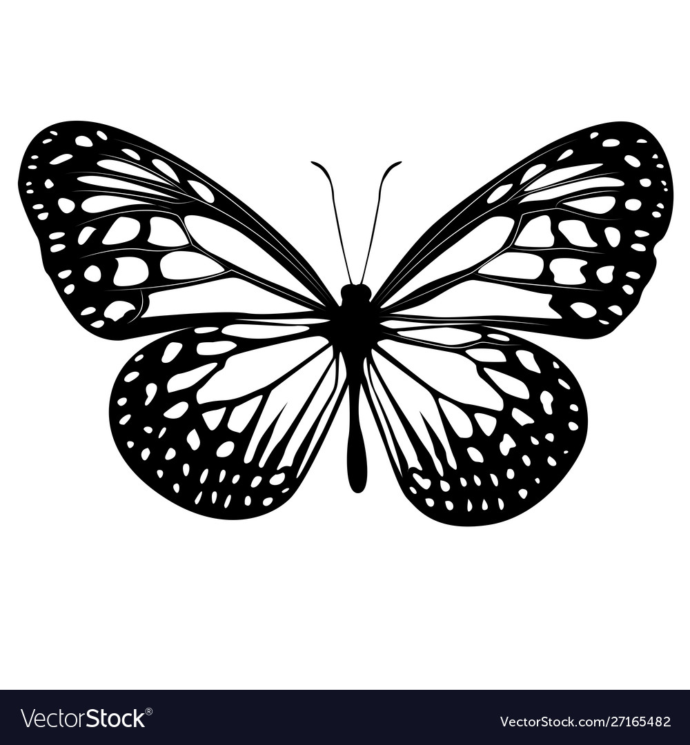 Free Free Butterfly Svg Black 355 SVG PNG EPS DXF File