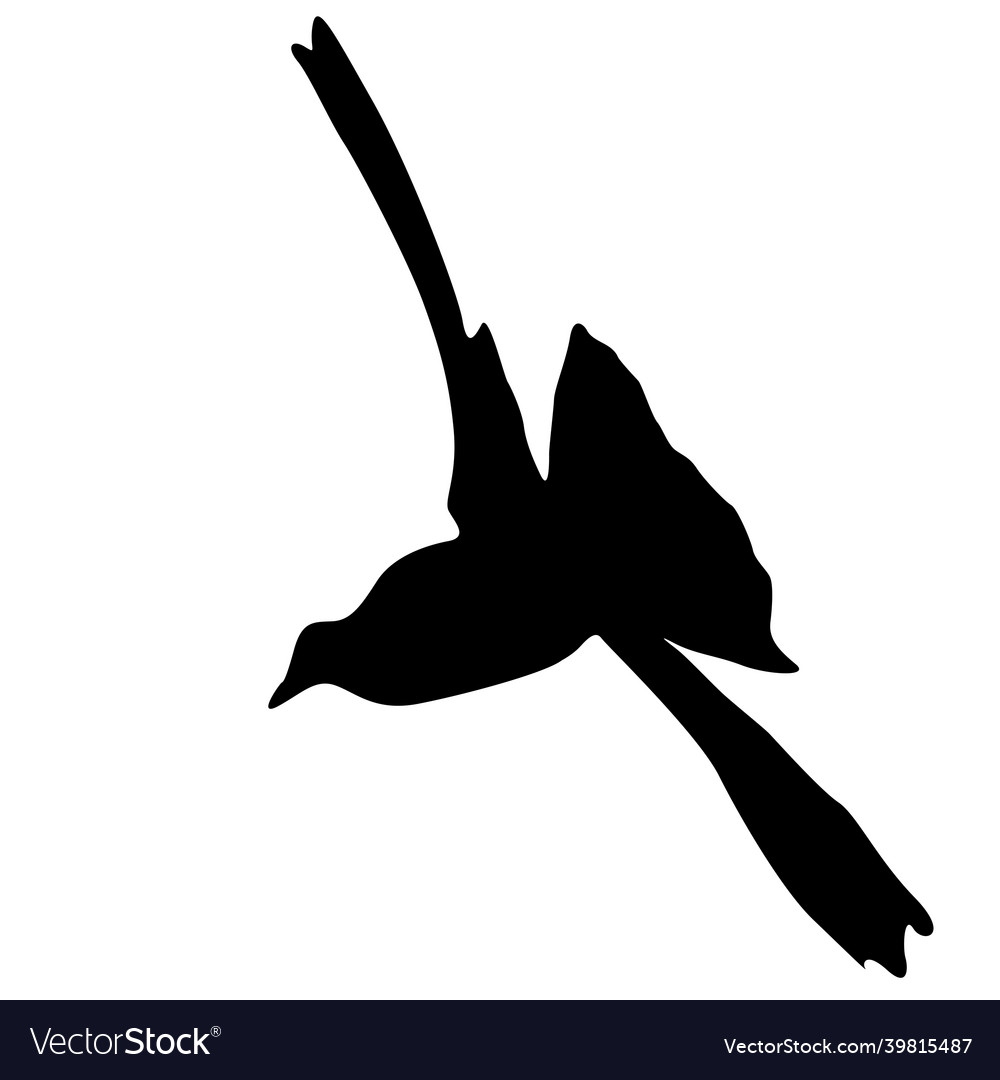 Concept of love or peace silhouettes doves