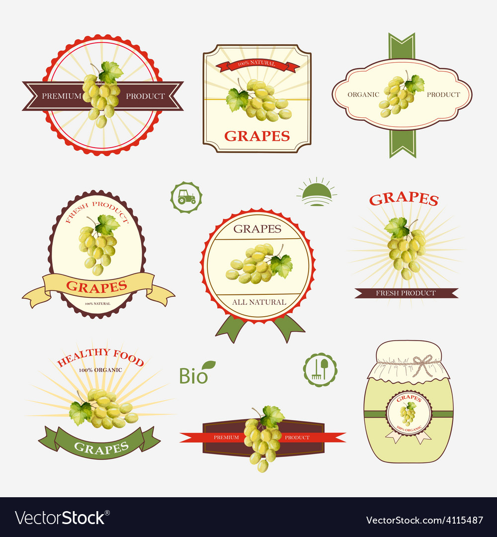 Grapes a set of label design and templates Vector Image