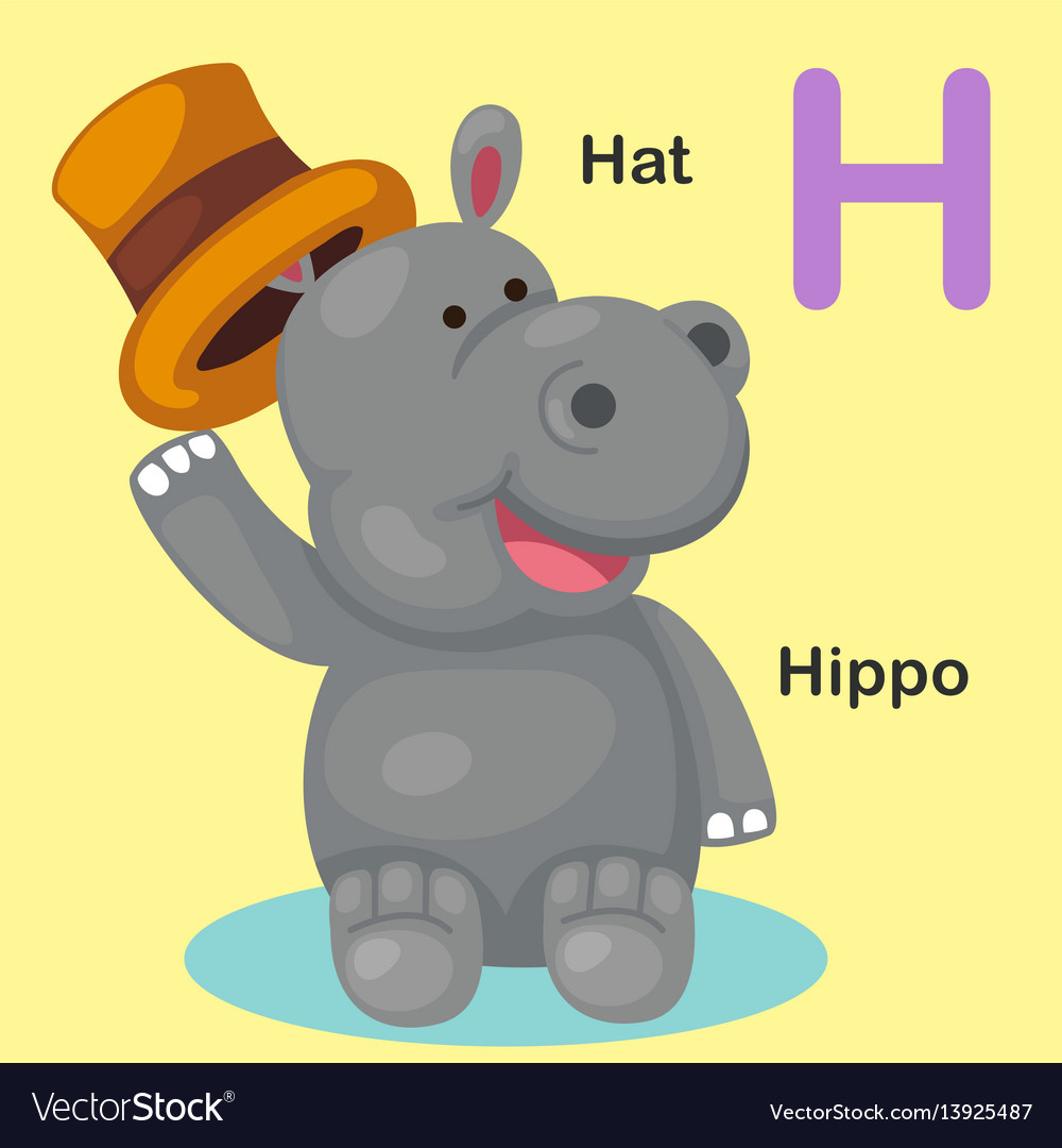 Isolated Animal Alphabet Letter H Hat Hippo Vector Image