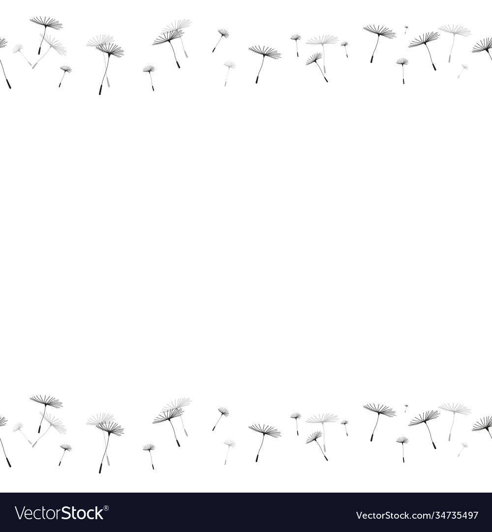 Seamless pattern dandelions isolated vector image Seamless pattern dandelions isolated