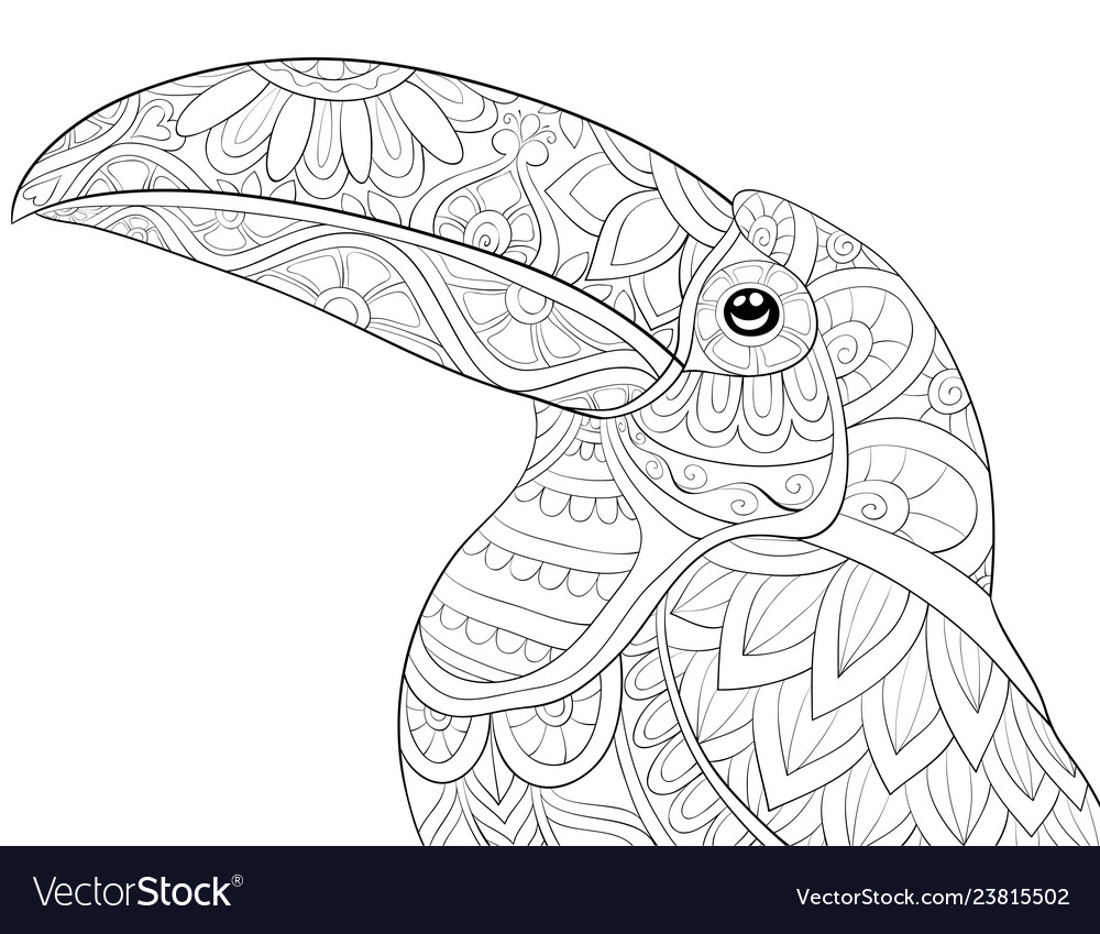 Premium Vector  Tucan and flower coloring page for adults