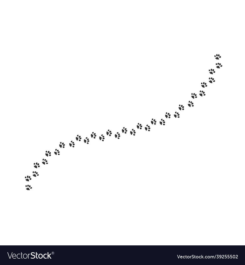 Animal track shapes dog or cat paw print paw Vector Image Animal track shapes dog or cat paw print paw Vector Image