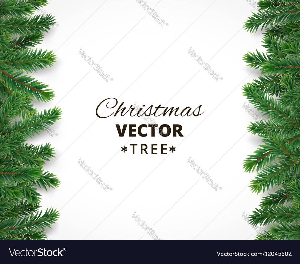 Background With Christmas Tree Branches And Vector Image Background With Christmas Tree Branches And Vector Image
