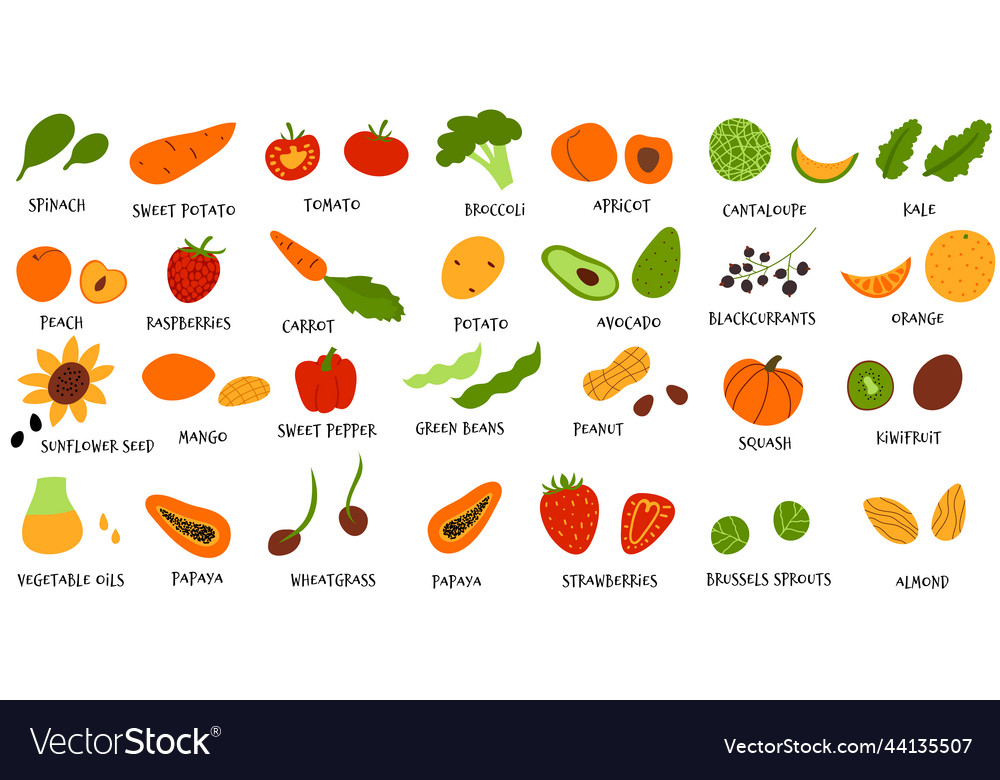 Collection of hand draw fruit and veggies Vector Image