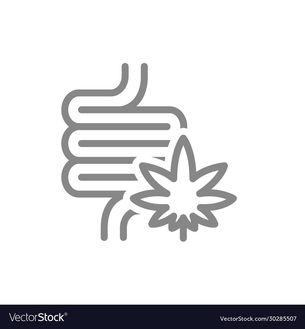 Human intestine with marijuana leaf line icon