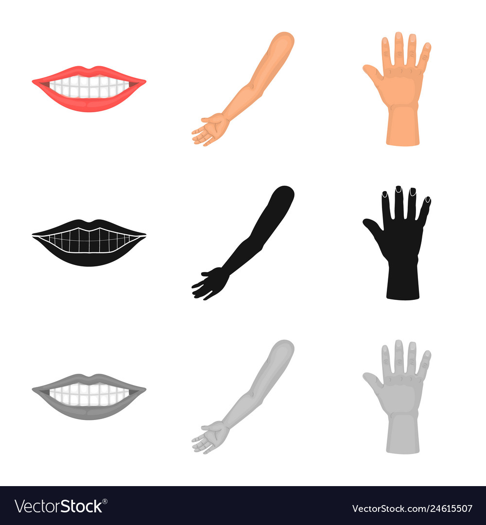 Isolated object of body and part sign set vector image Isolated object of body and part sign set