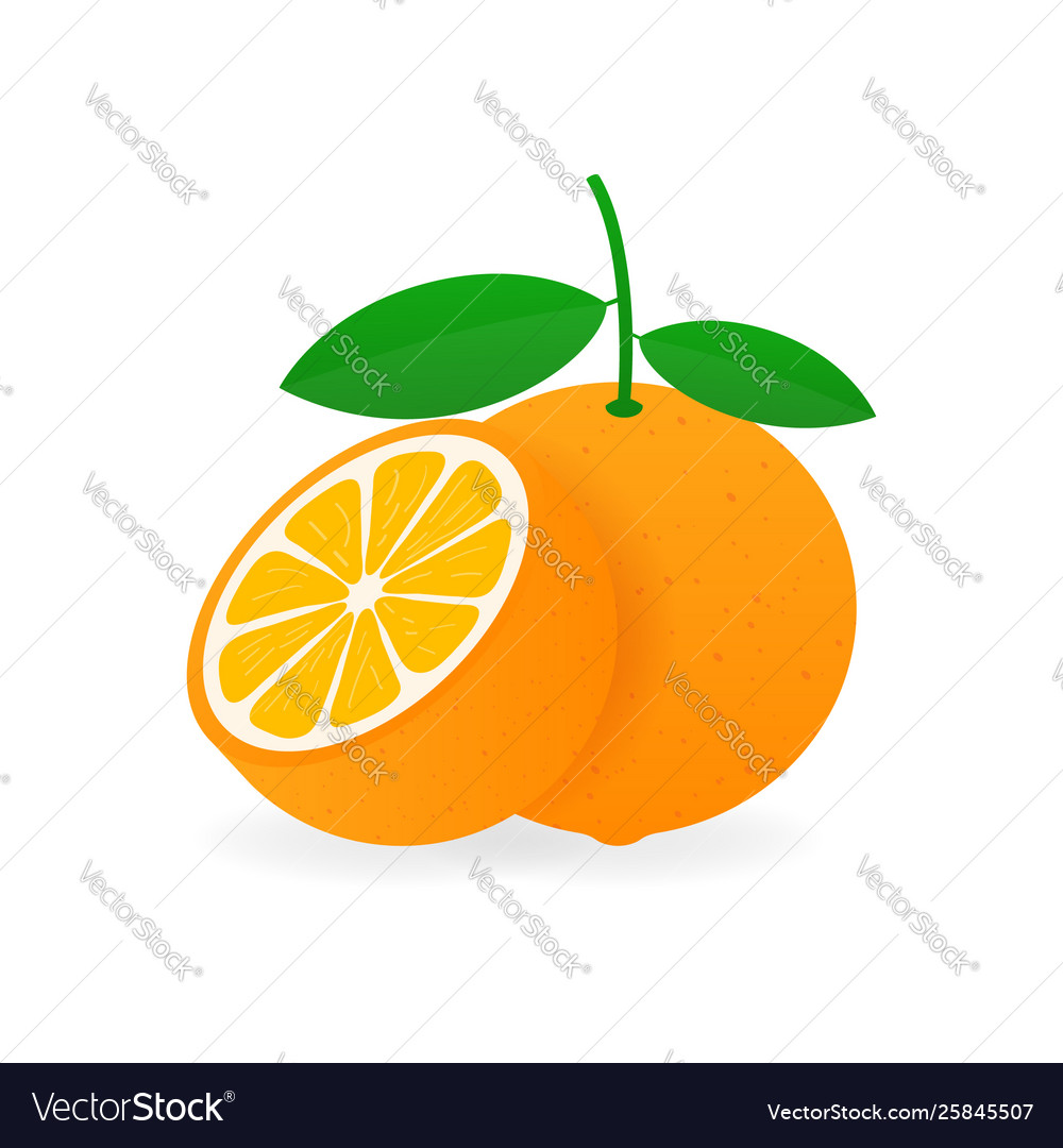 Orange mit Blättern ganz und Scheiben Orangen vector image Orange mit Blättern ganz und Scheiben Orangen