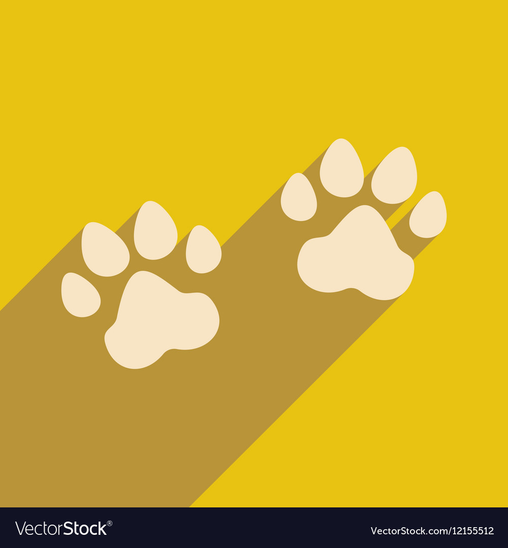 Flat with shadow icon and mobile application