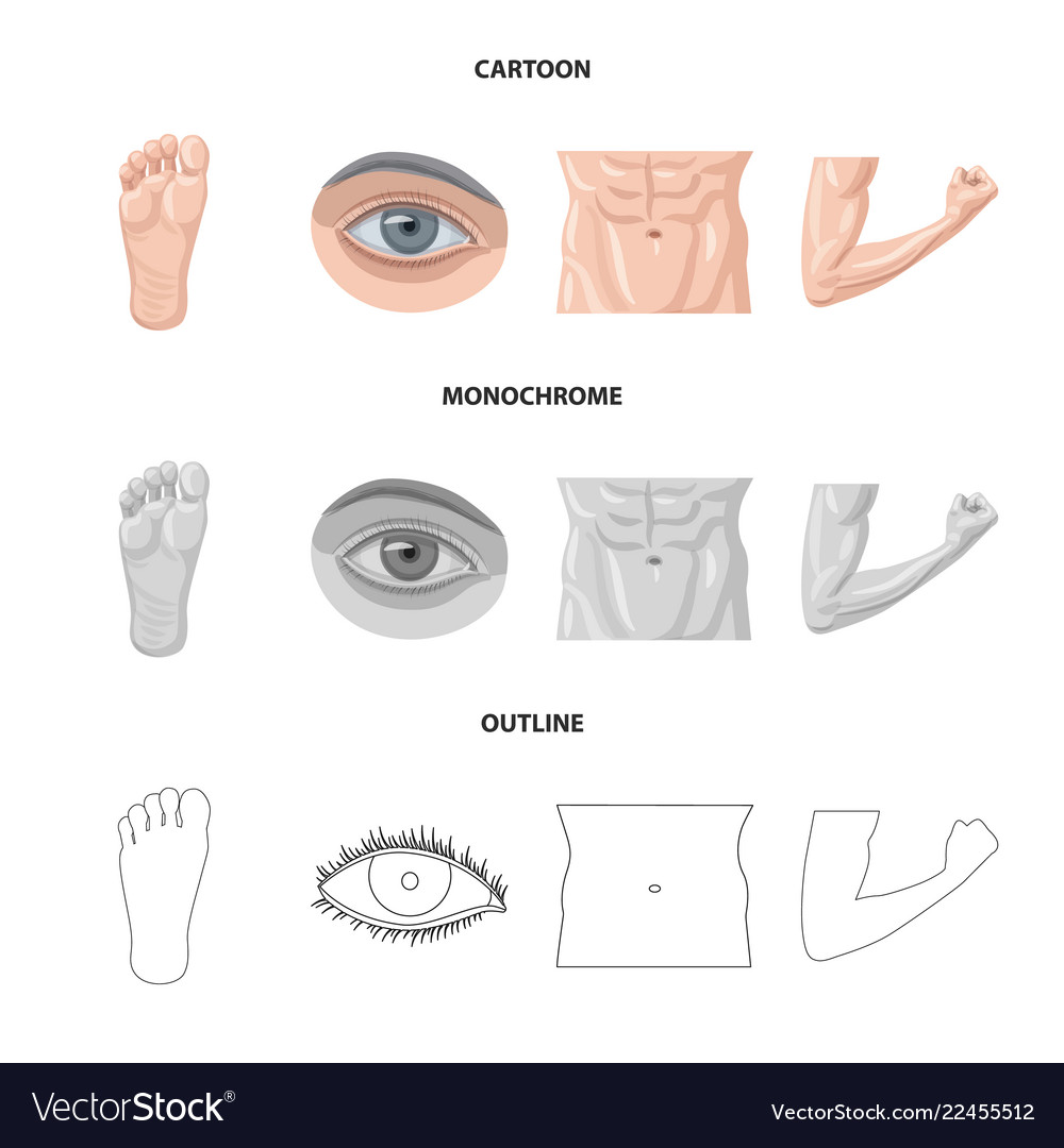 Isolated object of human and part symbol