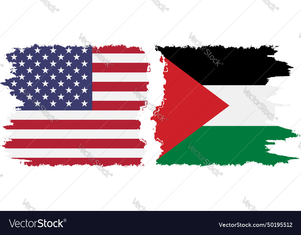 Palestine and usa grunge flags connection Vector Image
