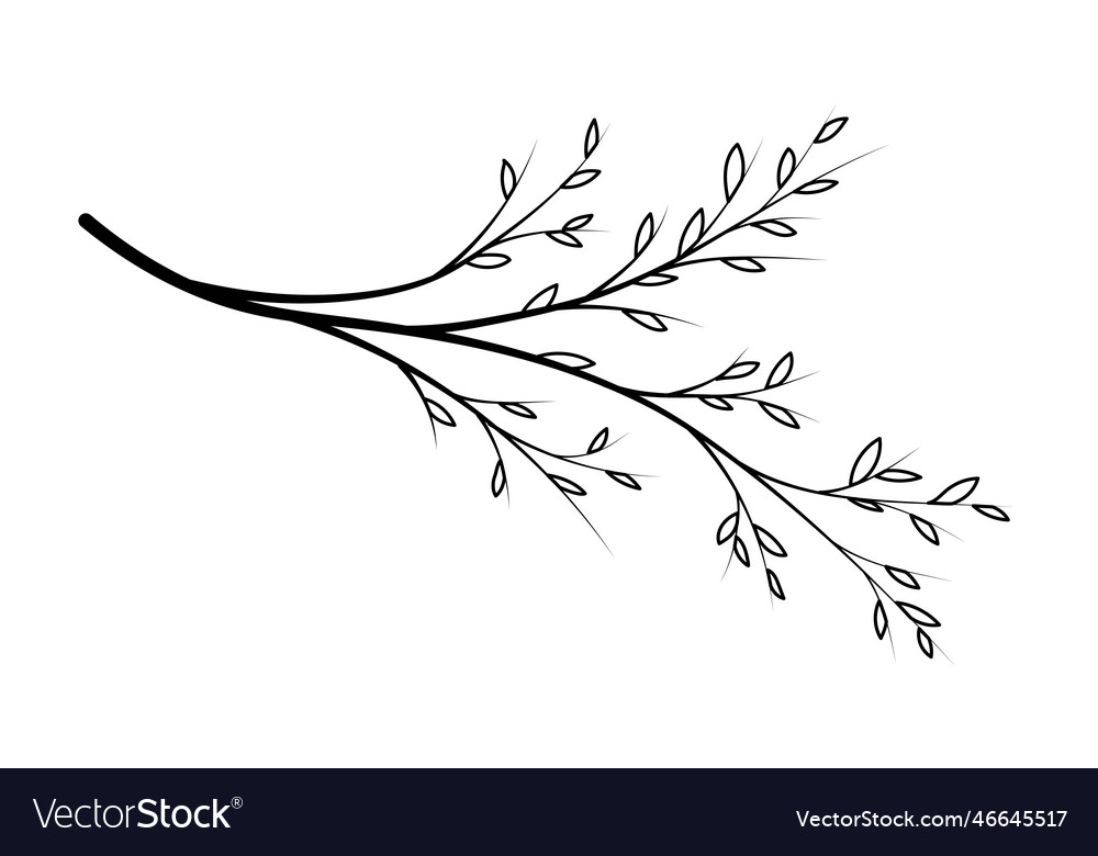 Line art branch Royalty Free Vector Image - VectorStock