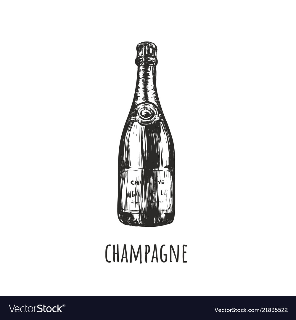 A Bottle Of Champagne Retro Sketch Hand Drawing Vector Image