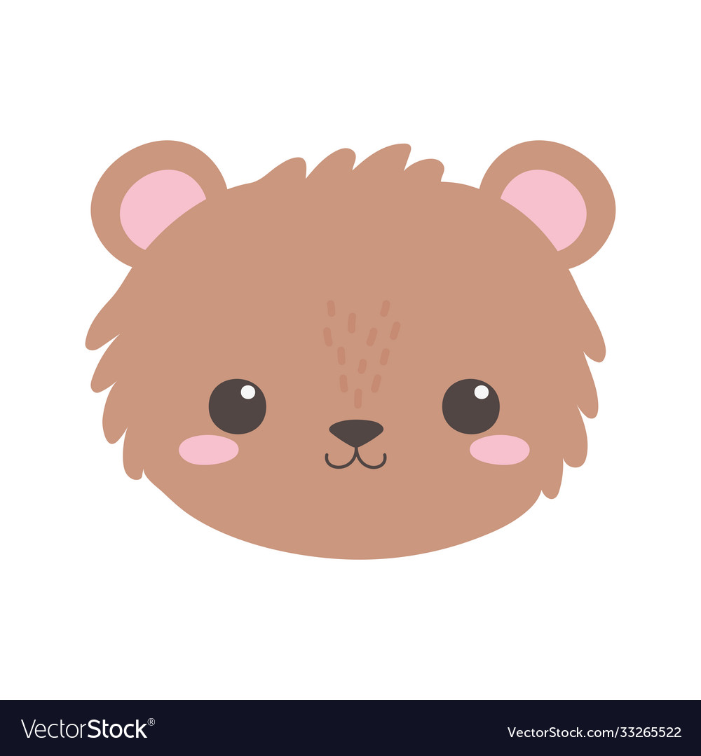 Cute bear little face animal cartoon isolated Vector Image