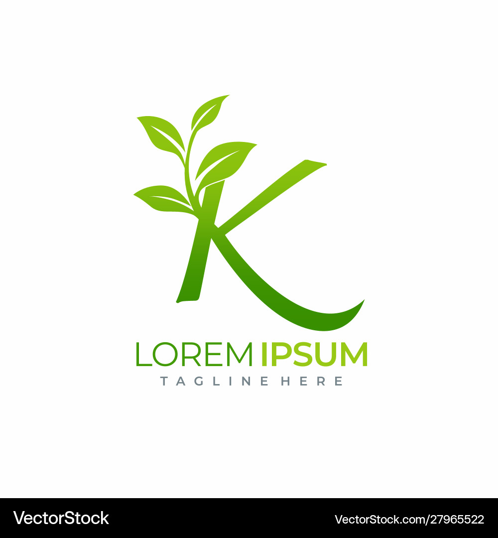 Letter k green plant leaf logo Royalty Free Vector Image