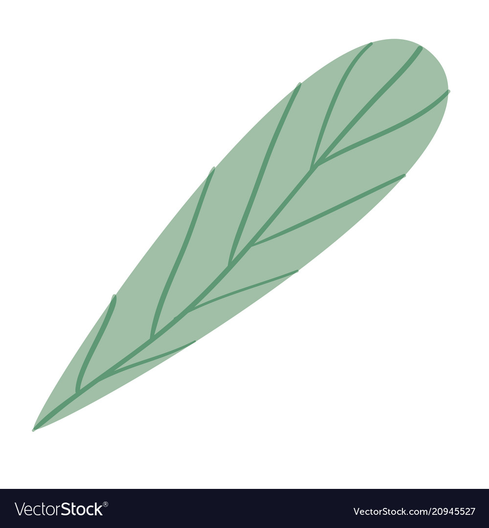 Leaf single decorative icon Royalty Free Vector Image