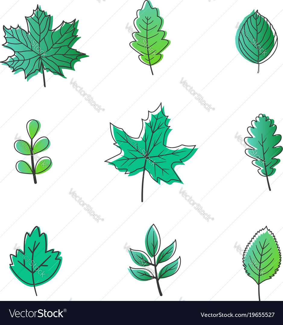 Leaves bright decor elements for the banner