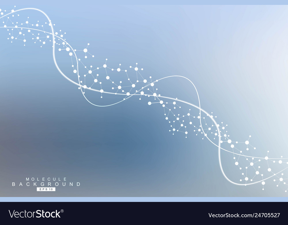 Science network pattern connecting lines and dots vector image Science network pattern connecting lines and dots