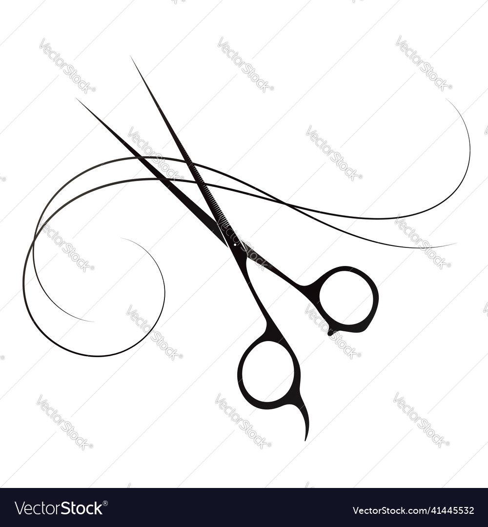 Stylist scissors and curl hair silhouette Vector Image