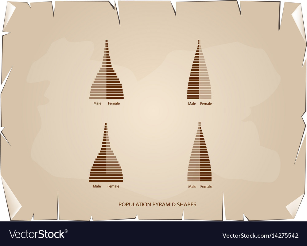 4 types of population pyramids graphs
