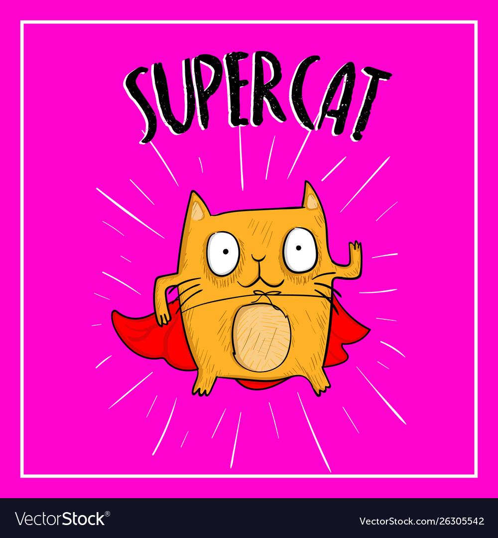 Hand drawn cat looking up to supercat lettering vector image Hand drawn cat looking up to supercat lettering