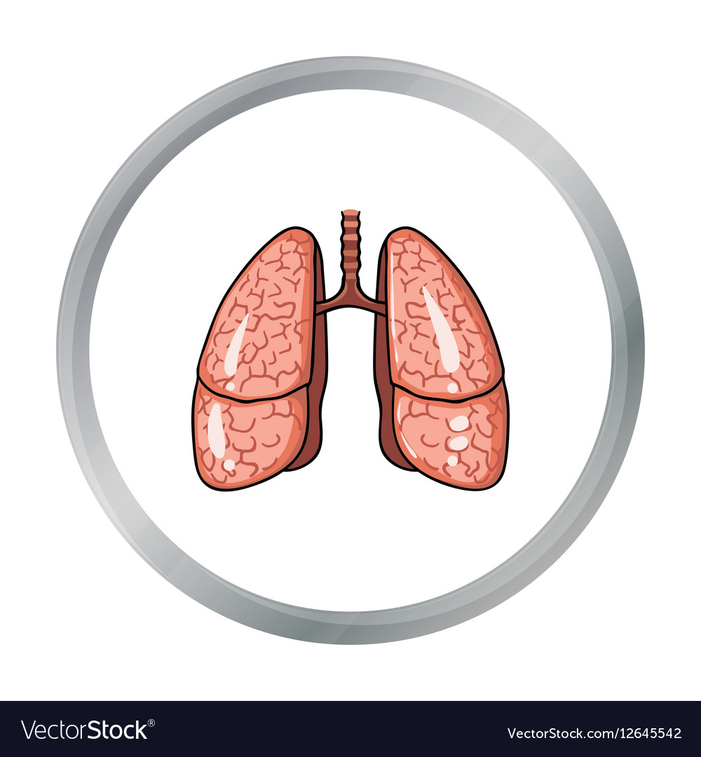 Human lungs icon in cartoon style isolated on Vector Image