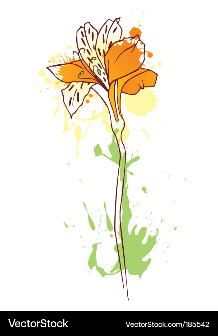 Ink flower Royalty Free Vector Image - VectorStock