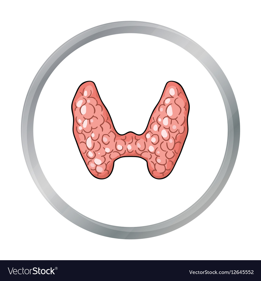 Human thyroid icon in cartoon style isolated Vector Image