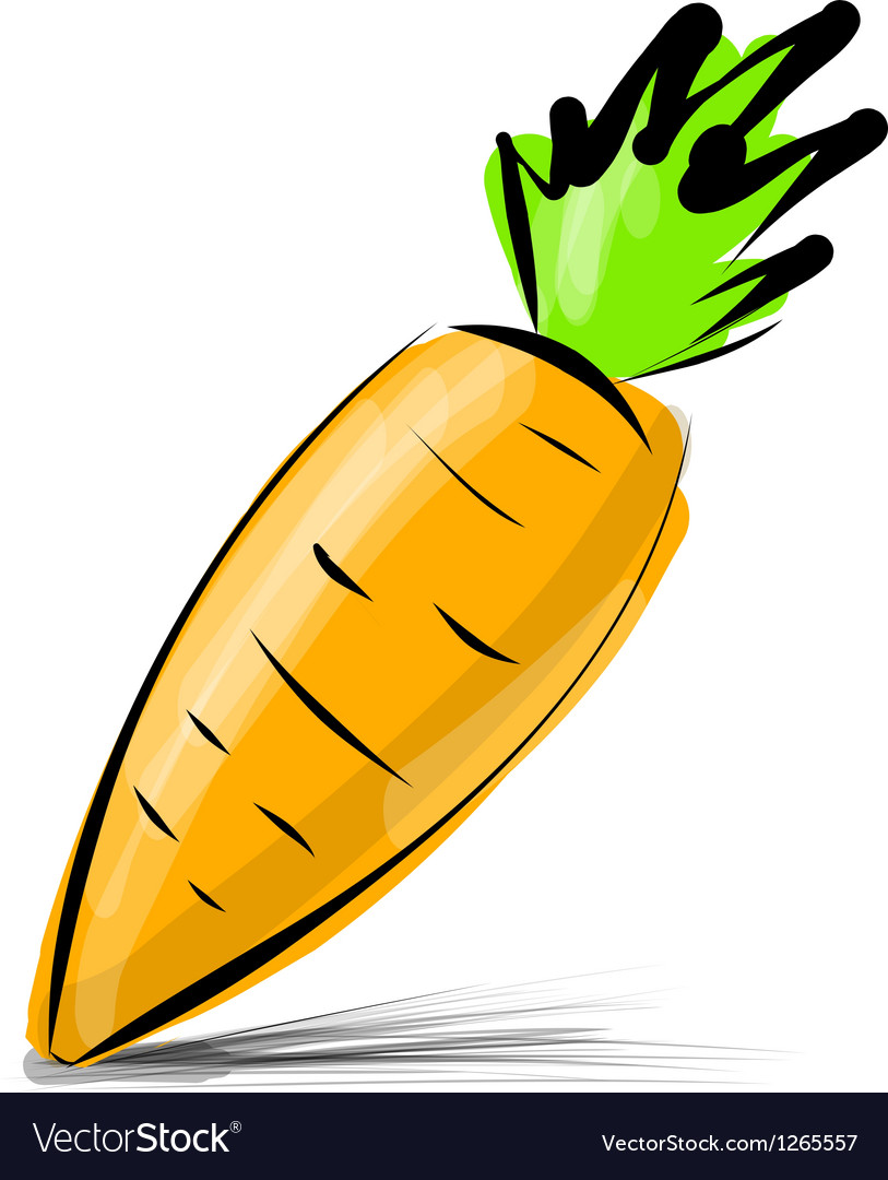 Carrot isolated on white