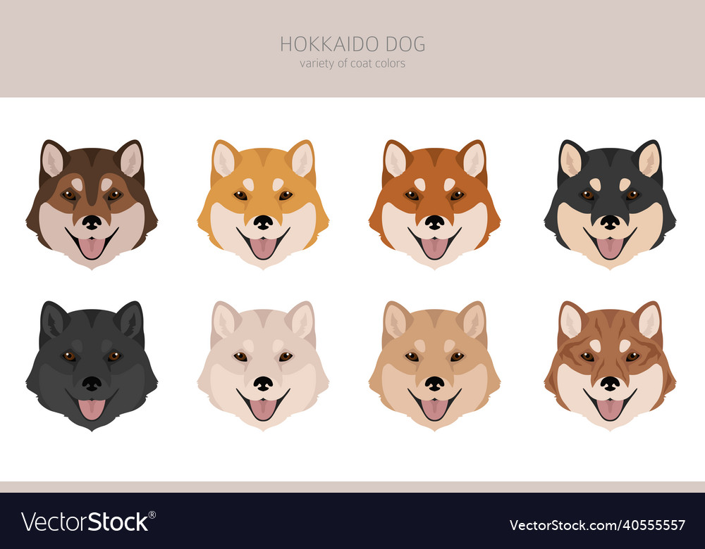 Hokkaido dog ainu clipart different poses