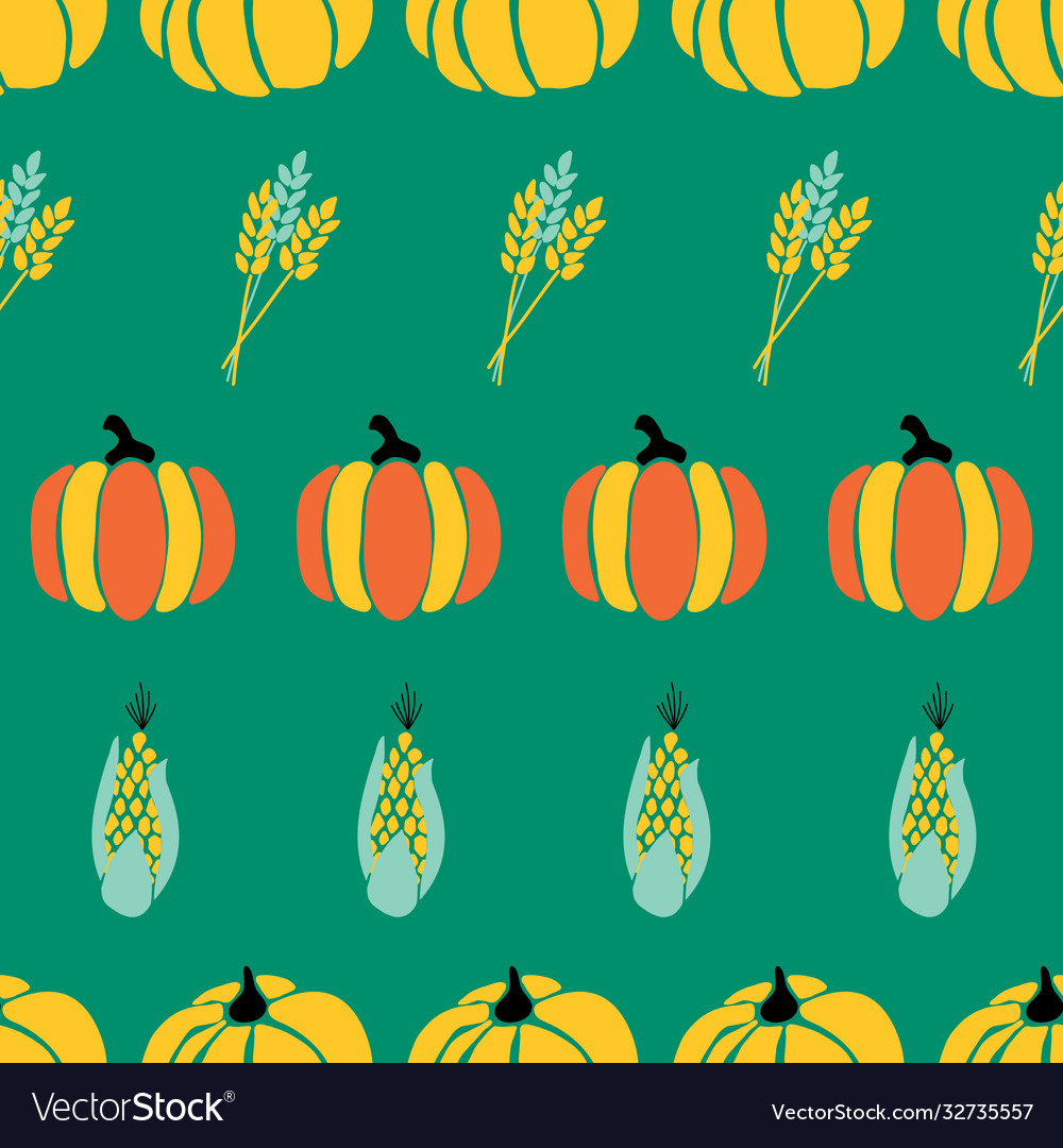 Maize plant crop and pumpkins on green background